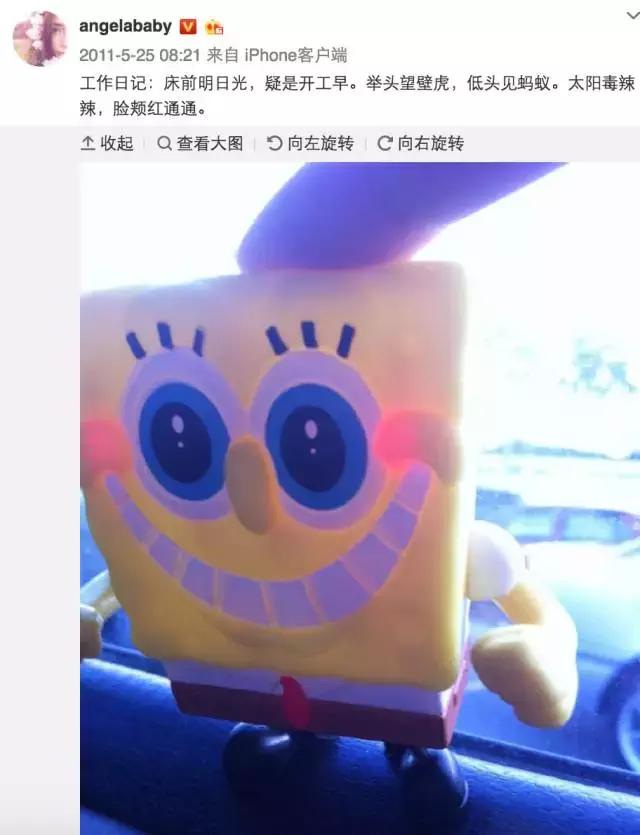 小海绵小星星,小星星小海豚林心如