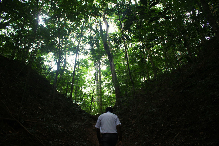 斯里兰卡旅游7天多少钱,去斯里兰卡最便宜方法