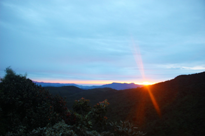 斯里兰卡旅游7天多少钱,去斯里兰卡最便宜方法