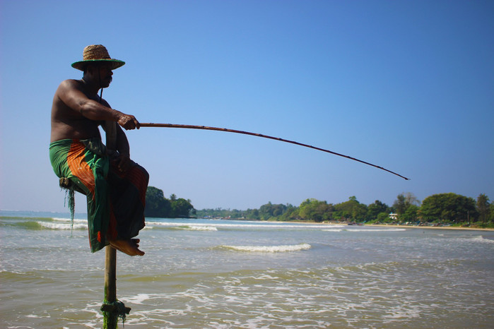 斯里兰卡旅游7天多少钱,去斯里兰卡最便宜方法