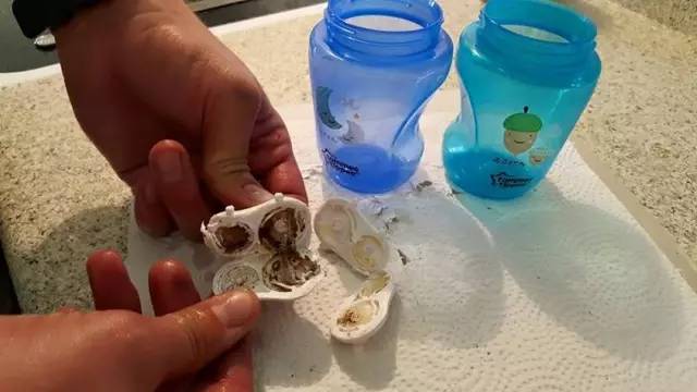 最流行小黄鸭玩具,小黄鸭玩具里面很多细菌