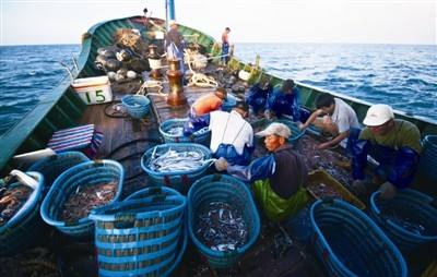 三农日报|奇怪!两个梨卖到100元;一亩田完成C轮融资