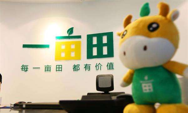 三农日报|奇怪!两个梨卖到100元;一亩田完成C轮融资