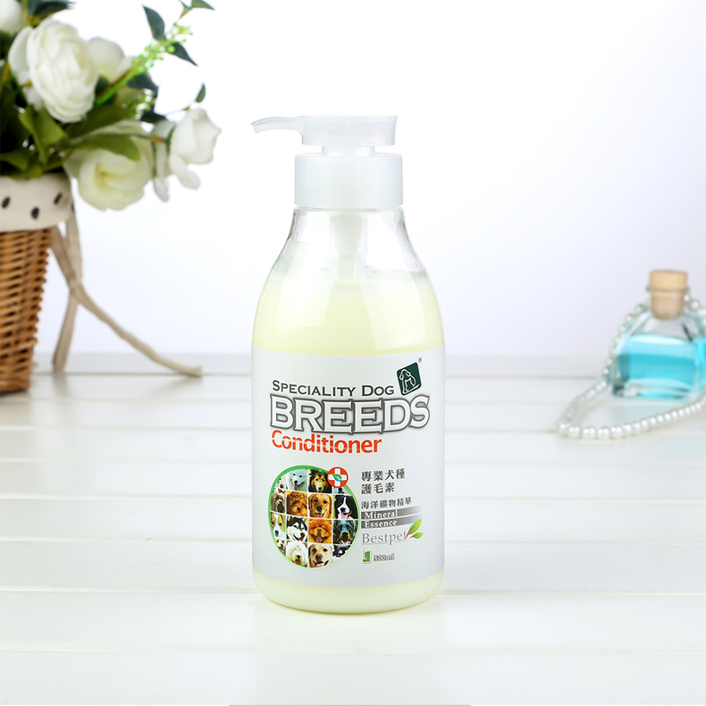 除了吃狗粮还吃什么,除了吃狗粮狗狗吃什么营养更均衡