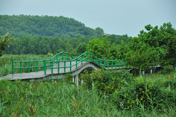 珠海旅游必去十大景点排名最新,珠海旅游攻略珠海必去景点