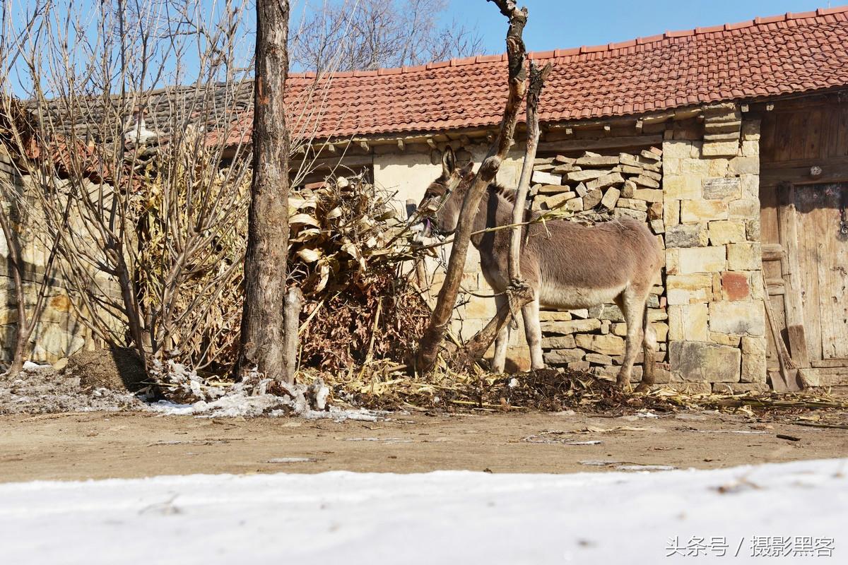 自驾盘山路陡而险,乳山小三峡爬山