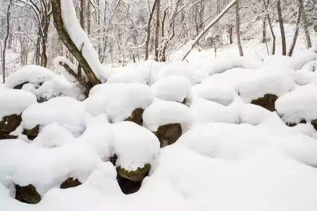 伊春的壮美之冬,伊春的风景区