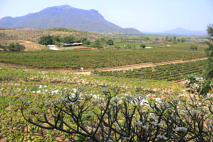 泰国曼谷芭提雅华欣7天自由行 (泰国华欣与芭提雅是一个地方吗)