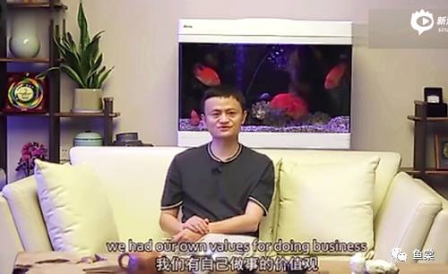 红招财鹦鹉鱼怎么养最红,招财红色鹦鹉鱼怎么养活