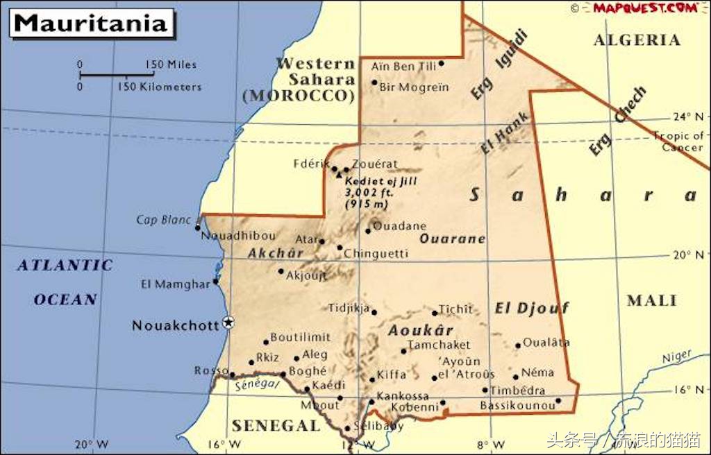 毛里塔尼亚，这个以肥为美的神奇国度究竟是什么样的？