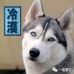 宠粮的基本知识,养宠小知识幼犬掉毛是什么原因