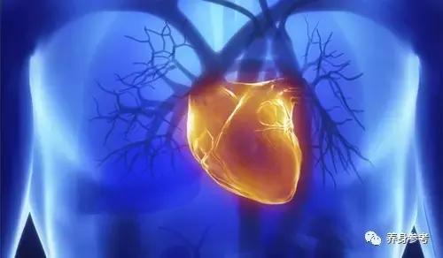 几个养生方法让你增寿十年,如何做到20天减10斤