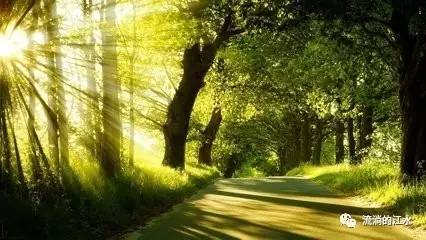 生产安全技术员岗位认知,生产车间安全技术员