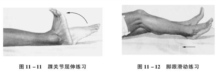 老年骨折康复训练,老年患者骨折治疗原则
