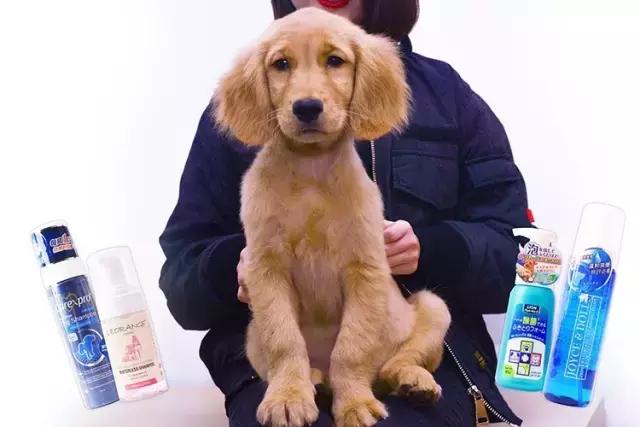 免洗泡沫推荐,免洗泡沫