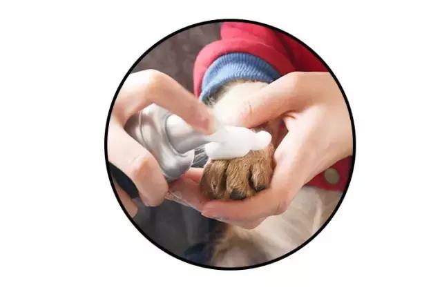 免洗泡沫推荐,免洗泡沫