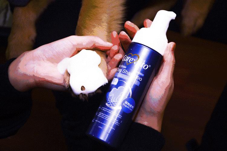 免洗泡沫推荐,免洗泡沫