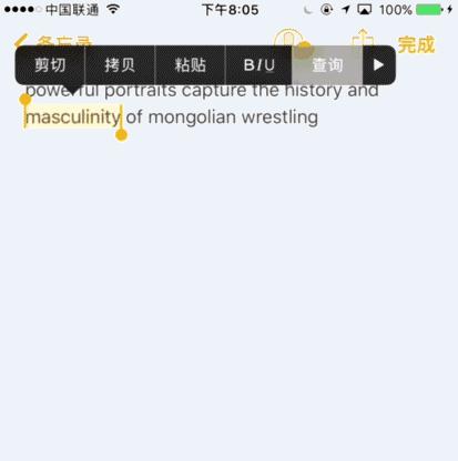 iphone搜索栏的实用功能,iphone12实用功能