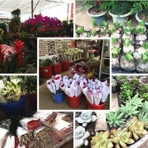 武汉最大的鲜花批发市场,武汉最实惠的鲜花交易市场