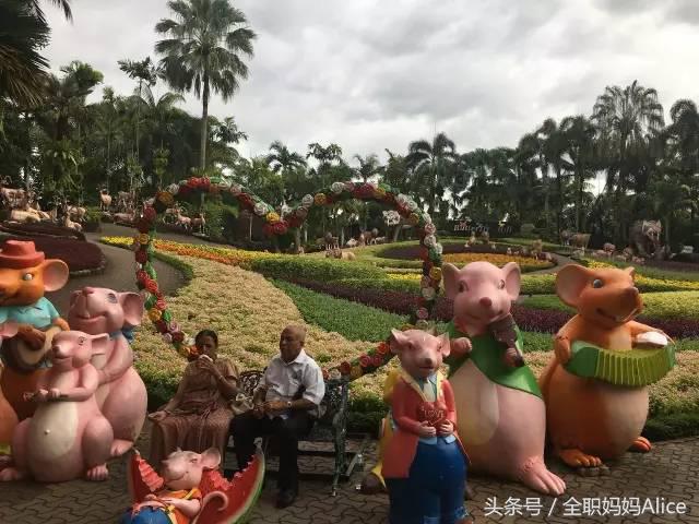 带上宝宝去泰国旅游,泰国旅游带宝贝去哪里