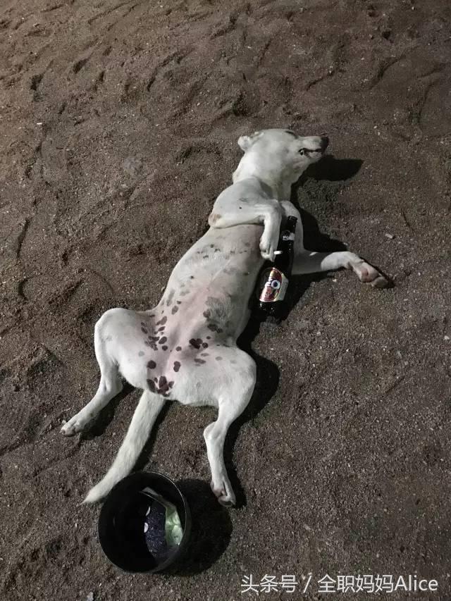 带上宝宝去泰国旅游,泰国旅游带宝贝去哪里