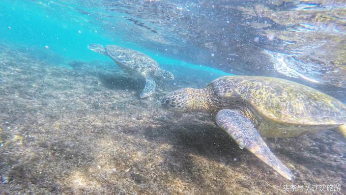 去台湾看自然风景,台湾小众景点