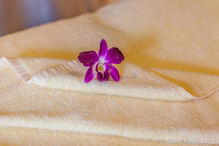 三亚美高梅度假酒店附近旅游路线,三亚美高梅度假亲子体验