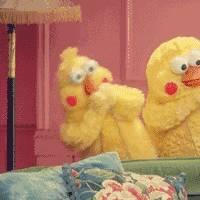 这两只在日本爆火的贱鹦鹉,一定能成为表情包界最火的新网红!