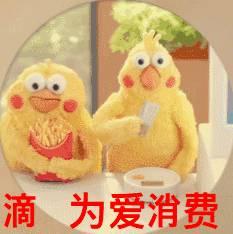 这两只在日本爆火的贱鹦鹉,一定能成为表情包界最火的新网红!