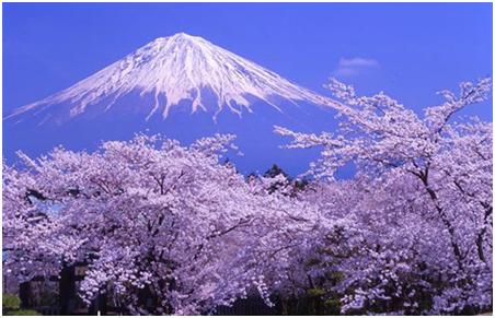 日本旅游退税需要多少 (在日本购物退税吗)