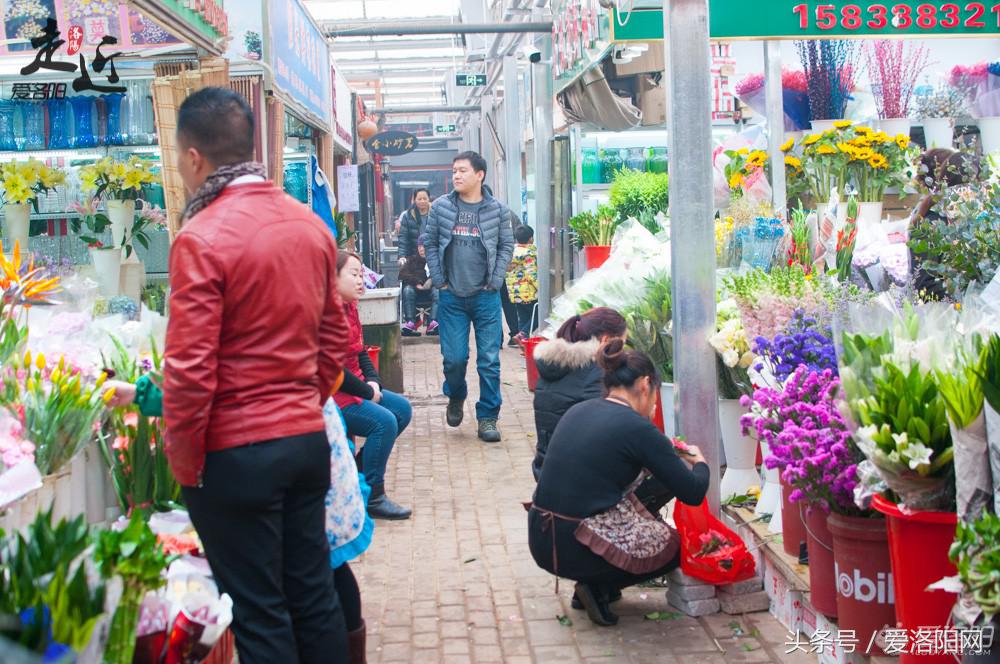 洛阳新区年货批发市场,洛阳老城年货市场