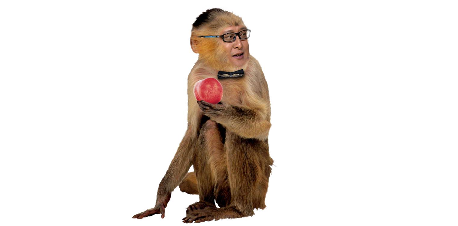 我看的是成语结果被剧情戳中泪点