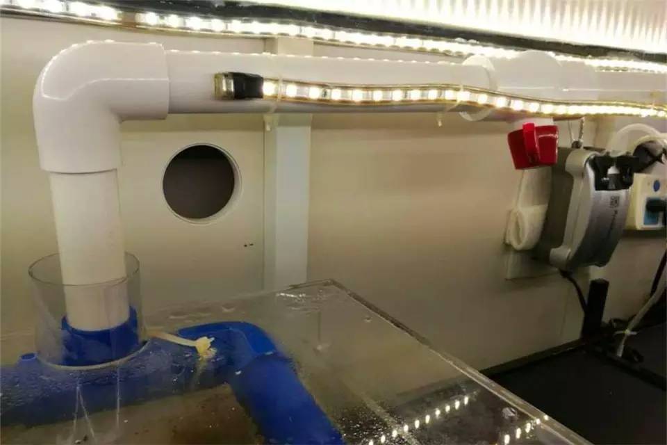 上滤盒下水管改造,底滤下水管怎么改