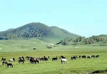 壹闻旗舰店,壹闻直播
