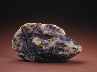 小男孩看鱼的视频,小男孩看鱼