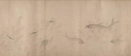 小男孩看鱼的视频,小男孩看鱼