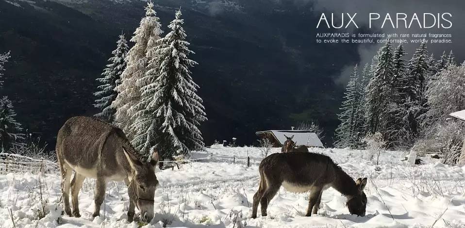 国货护手霜老牌子高颜值,高颜值护手霜保湿滋润