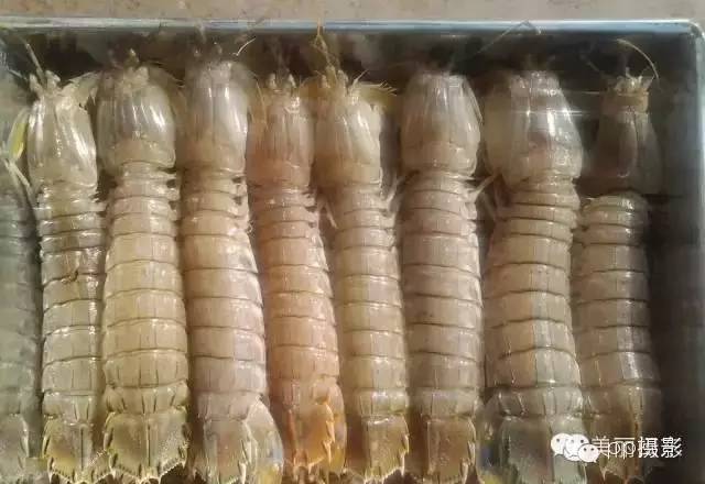 2017年霞浦“海鲜年历”出炉，你知道现在该吃什么吗？