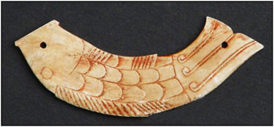 小男孩看鱼的视频,小男孩看鱼