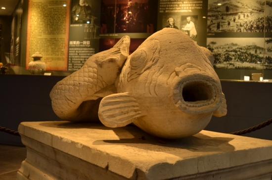 小男孩看鱼的视频,小男孩看鱼