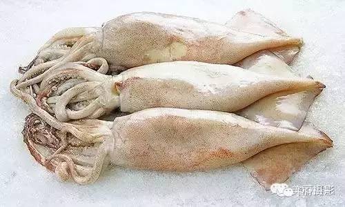 2017年霞浦“海鲜年历”出炉，你知道现在该吃什么吗？