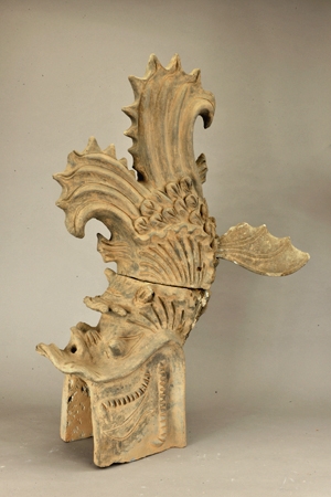 小男孩看鱼的视频,小男孩看鱼