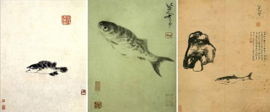 小男孩看鱼的视频,小男孩看鱼