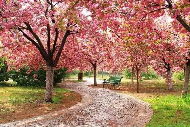 学习主席写计划，制定2017最雄心壮志的旅行书······