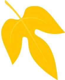 2016投资理财排名榜,投资理财最新报告