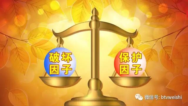 「养生堂」今日17:25播出：《消化重症的“逆转术”》