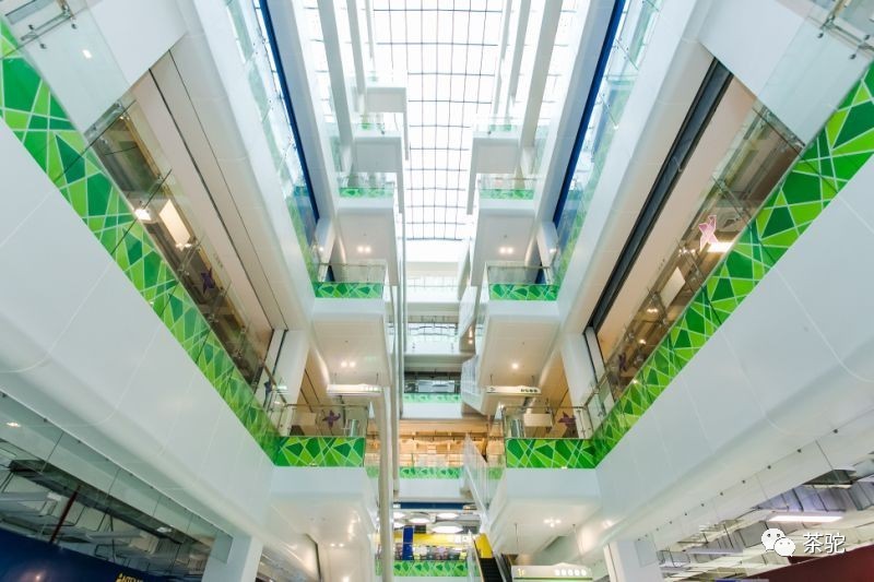 厦门经典茶礼推荐,厦门人最爱礼物