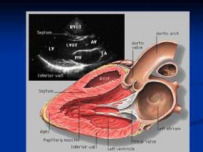 那些年我们错过的人,那些年我们错过的好歌