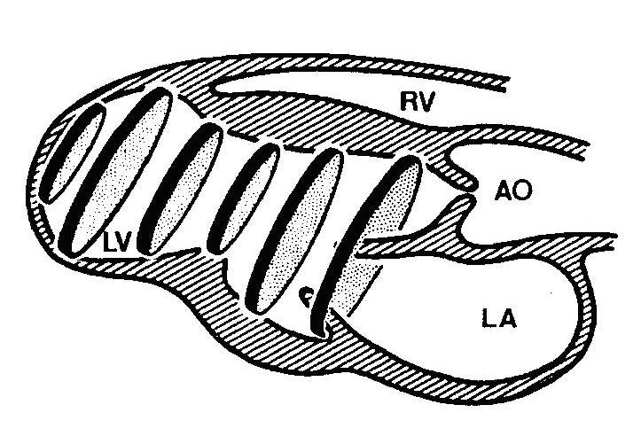 那些年我们错过的人,那些年我们错过的好歌
