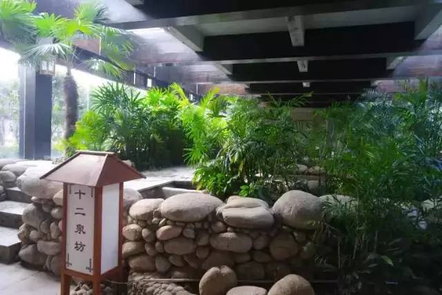 武汉周边适合孩子玩的温泉,武汉附近温泉一日游哪里好玩